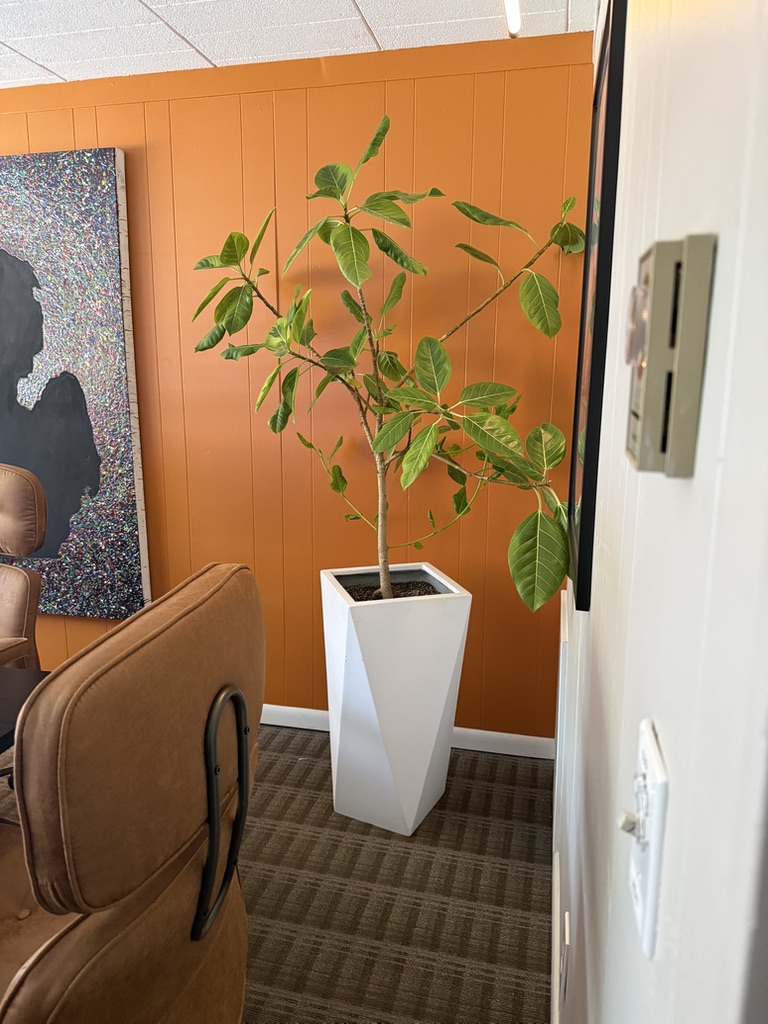 Hotel Royal Oak, Royal Oak Michigan — photo 118 of 202