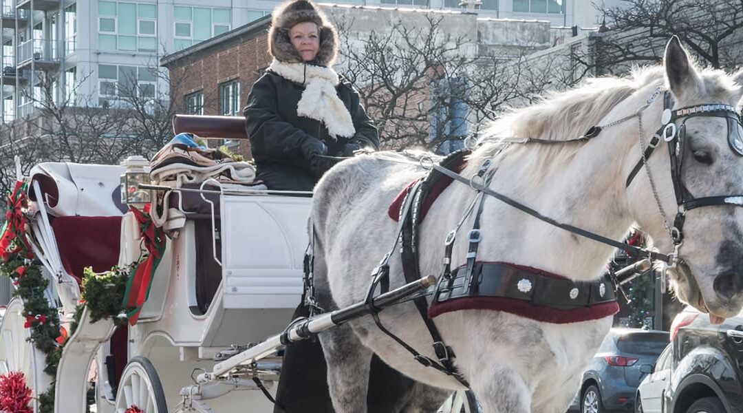 7 Must Do Events in Royal Oak this December!